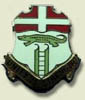 Thumbnail image of the 6th Infantry Regiment crest.