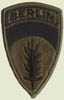 Thumbnail image of the subdued Berlin Brigade patch.